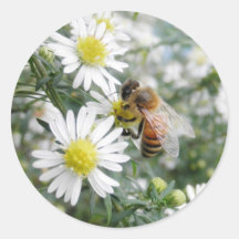 Bees Honey Bee Wildflowers Flowers Daisies Photo Round Stickers