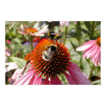 Bees in the Summer posters by rattycorner Bees in the Summer posters