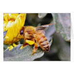 Bees Insects 3 Greeting Card