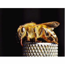 Bees Insects Marco photo sculptures by lifesphere Bees Insects Marco photo sculptures