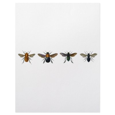 Bees Letterhead Design by spyderfyngers