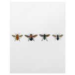 Bees Letterhead Design