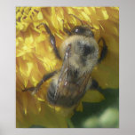 bees love yellow...[watercolour] print