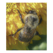 bees love yellow...[watercolour] posters