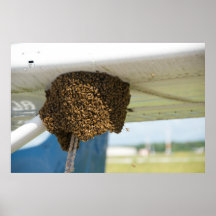 Bees on a Cessna Posters