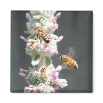 Bees on Lambs Ear magnets by princessklb07 Bees on Lambs Ear magnets