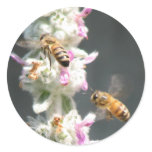 Bees on Lambs Ear Round Sticker