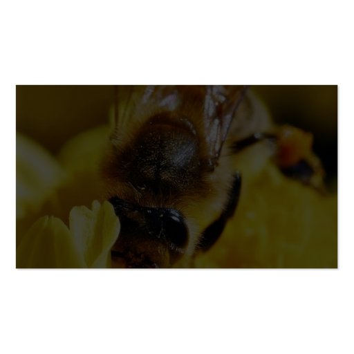 Bees Pollen Insects Wings Macro Bugs Business Cards (back side)