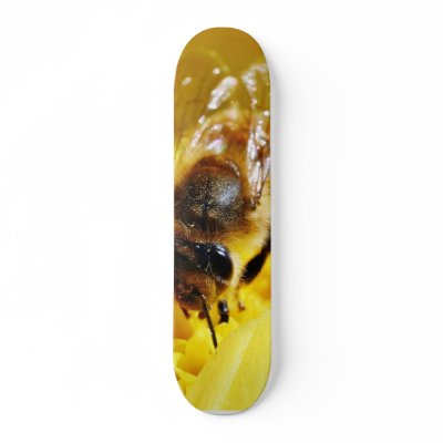 Bees Pollen Insects Wings Macro Bugs Skate Deck by lifesphere