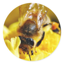 Bees Pollen Insects Wings Macro Bugs stickers by lifesphere Bees Pollen Insects Wings Macro Bugs stickers