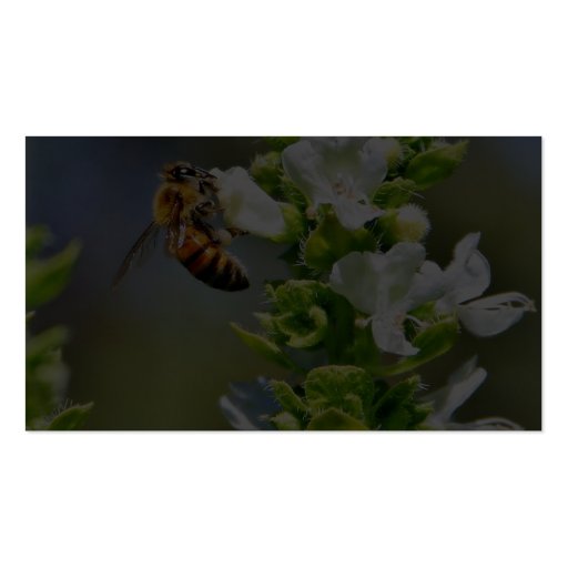 Bees Pollenating Basil Business Card Templates (back side)