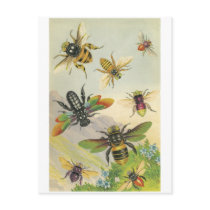 Bees Post Cards