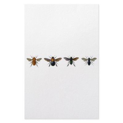 Bees Stationery Design by spyderfyngers