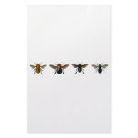 Bees Stationery Design