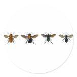 Bees Sticker