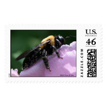 Beesides Postage Stamp stamps