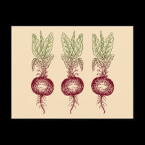 Beet postcards