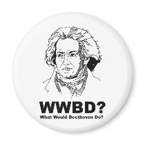 Beethoven magnets