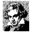 BEETHOVEN t-shirts