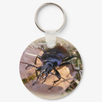Beetle 116 ~ keychain by Andy2302 Beetle 116 ~ keychain