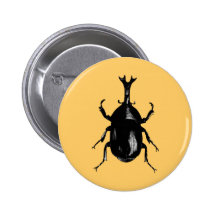 Beetle Beetles Insect Bug Vintage Wood Engraving Pins
