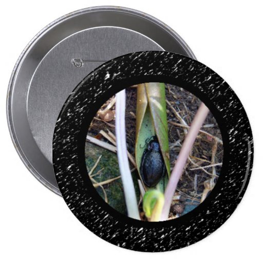 Beetle Blanket Button