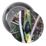 Beetle Blanket Button