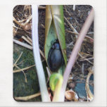 Beetle Blanket Mousepad