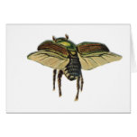 beetle cards