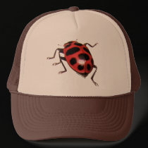 BEETLE HAT hats