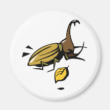 Beetle Insect Bug Nature Cartoon Art Animal Magnets