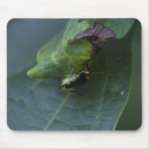 Beetle Mouse Pad