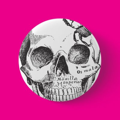 Beetle on a Skull Pinback Buttons Zazzle_button Beetle on a Skull Pinback Buttons Zazzle_button