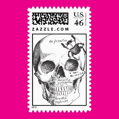 Beetle on a Skull Postage Stamps Zazzle_stamp
