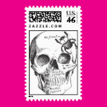 Beetle on a Skull Postage Stamps