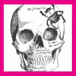 Beetle on a Skull Poster