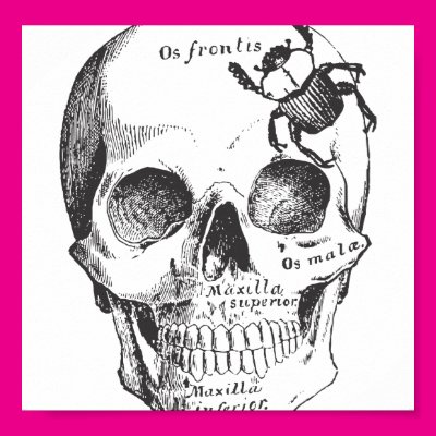 Beetle on a Skull Poster Zazzle_print