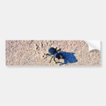 Beetle On The Dunes Bumper Stickers