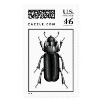 Beetle postage by elonium Beetle postage