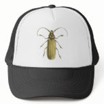 Beetle, Prionus Corticinus Trucker Hat