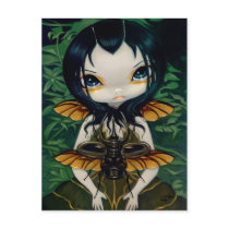 "Beetle Wings" Postcard