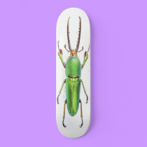 Beetlemania skateboards by Paddydee56 Beetlemania skateboards