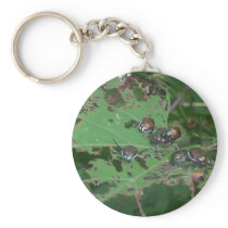 Beetles Eating Leaves Of Wild Grapes Keychain