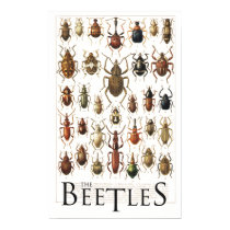 beetles poster posters