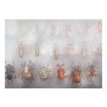 Beetles - The usual suspects Custom Invitations