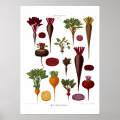 Beets Print
