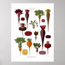 Beets Print