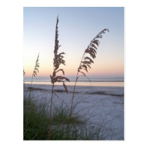 Before Day Post Card