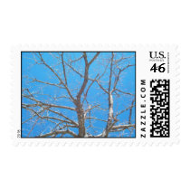 before spring postage by lissame73 before spring postage