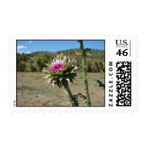 Before the Bloom postage